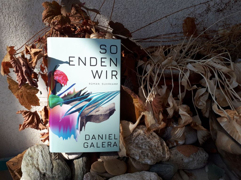 Daniel Galera: So enden&nbsp;wir