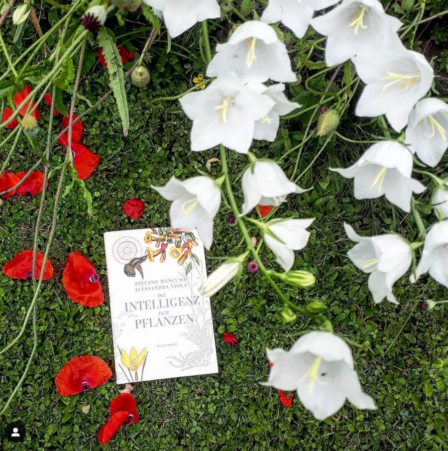 Stefano Mancuso: Die Intelligenz der&nbsp;Pflanzen