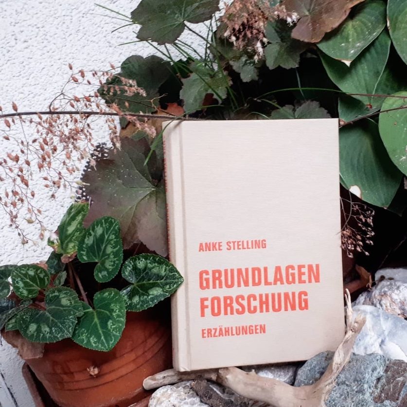 Anke Stelling: Grundlagenforschung. Erzählungen. Verbrecher Verlag 